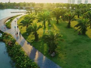 Chọn căn hộ xinh xắn giữa rừng cây xanh sống đầy đủ và bình yên