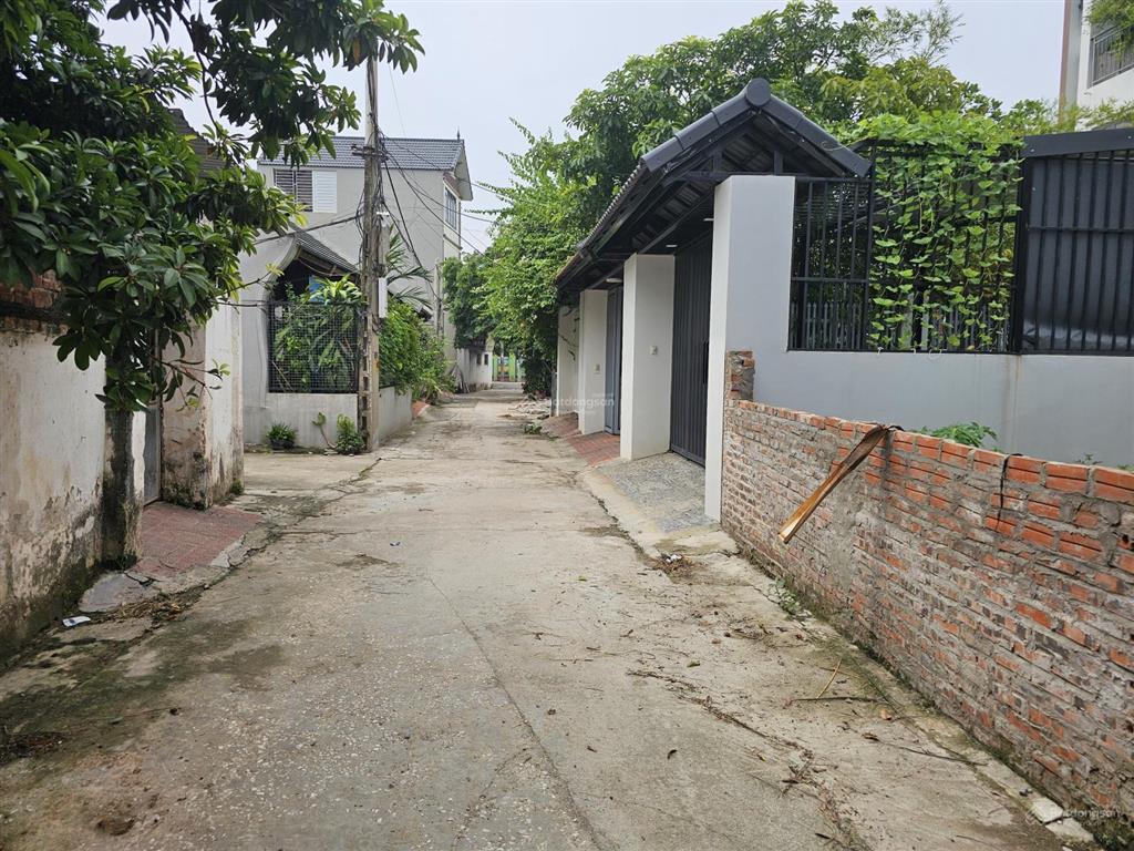 Bán đất tại đại yên, chương mỹ, ngõ thông, nông, 6 tỷ, 146m2