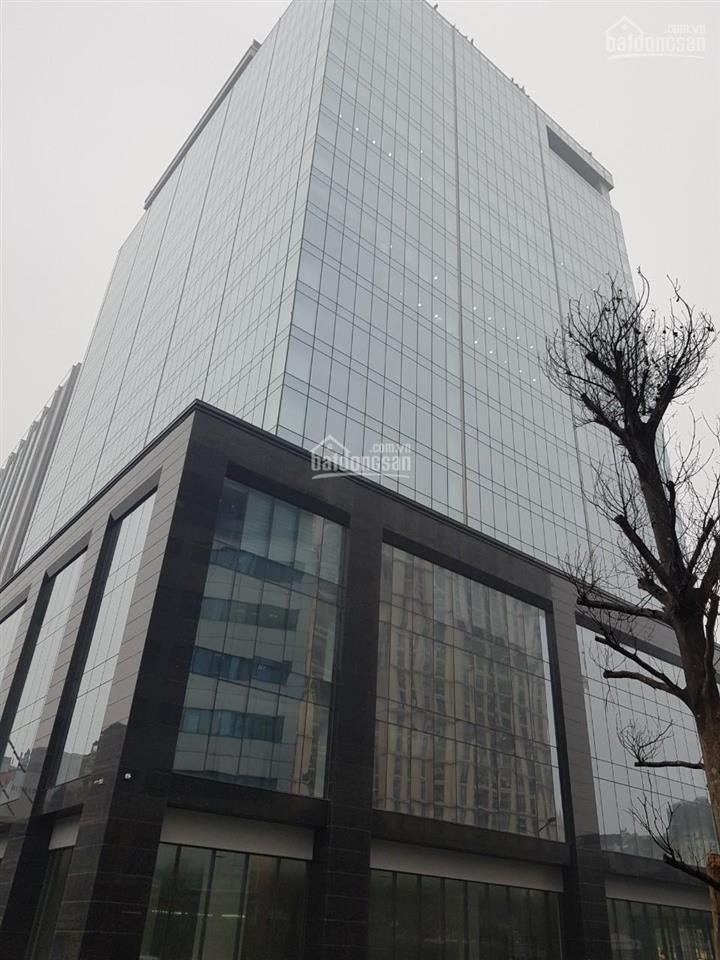 Cho thuê vp geleximco 36 hoàng cầu 500m2 cắt từ 100m2 view đẹp có thể lấy nội thất