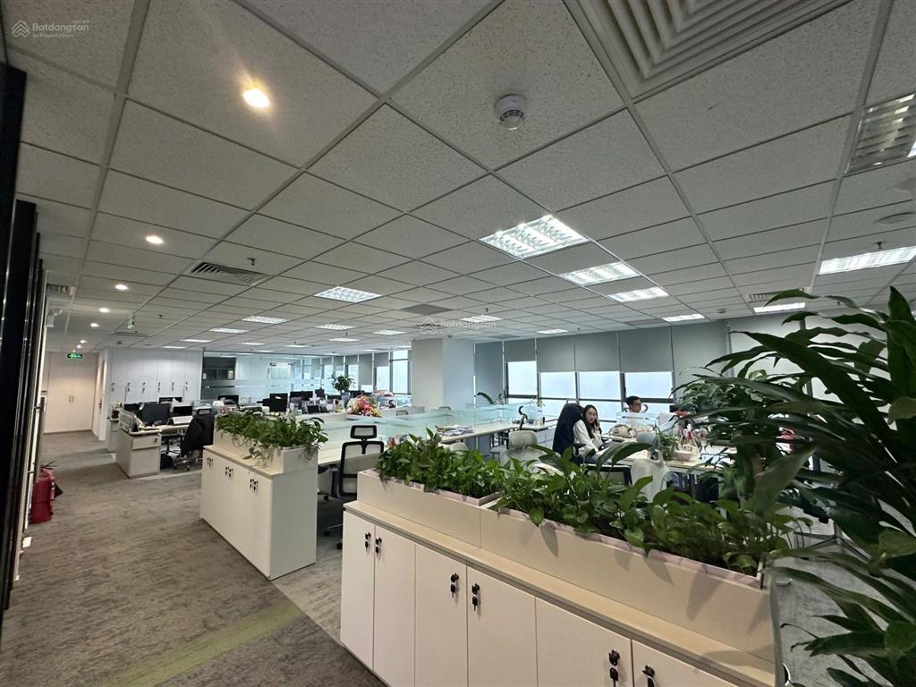 Cđt cho thuê vp handico phạm hùng 500m2 cắt nhỏ từ 100m2, sẵn nội thất, view đẹp
