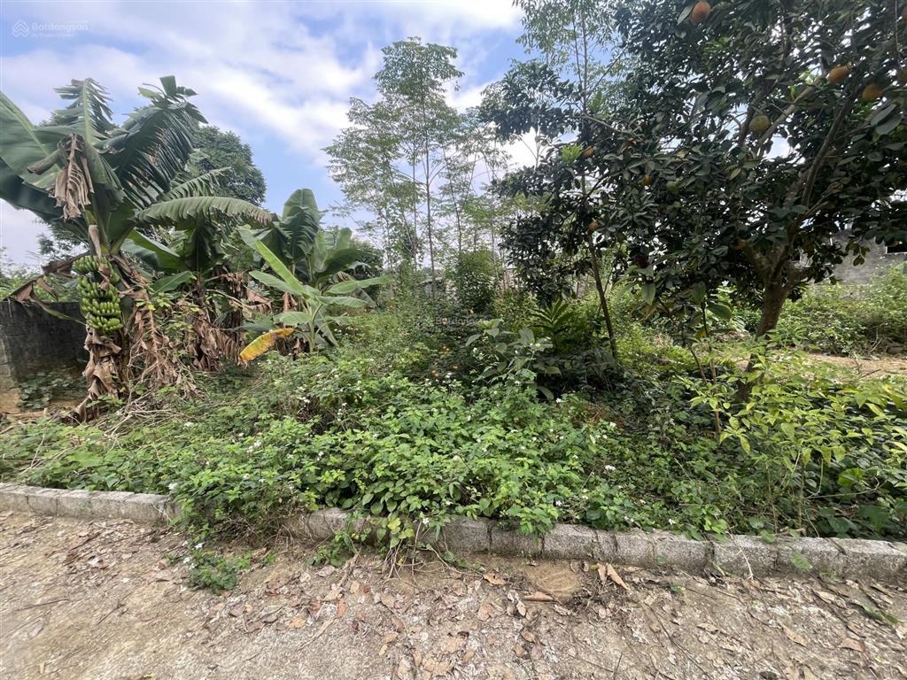 Bán đất tại xã hoà hợp, lương sơn, hòa bình, giá siêu hời chỉ với 2,7 tỷ, 207,9m2