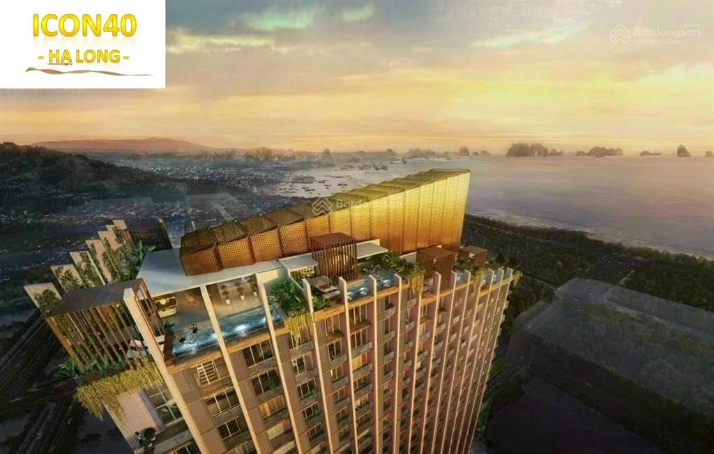 Em tiến đang có 2 căn tại icon cắt lỗ sâu studio view biển 1.4x tỷ  2 n1vs giá 2.7x tỷ