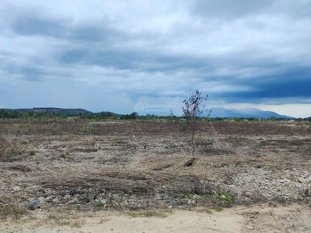 Bán đất tại phú sung xã hàm cường, huyện hàm thuận nam, tỉnh bình thuận