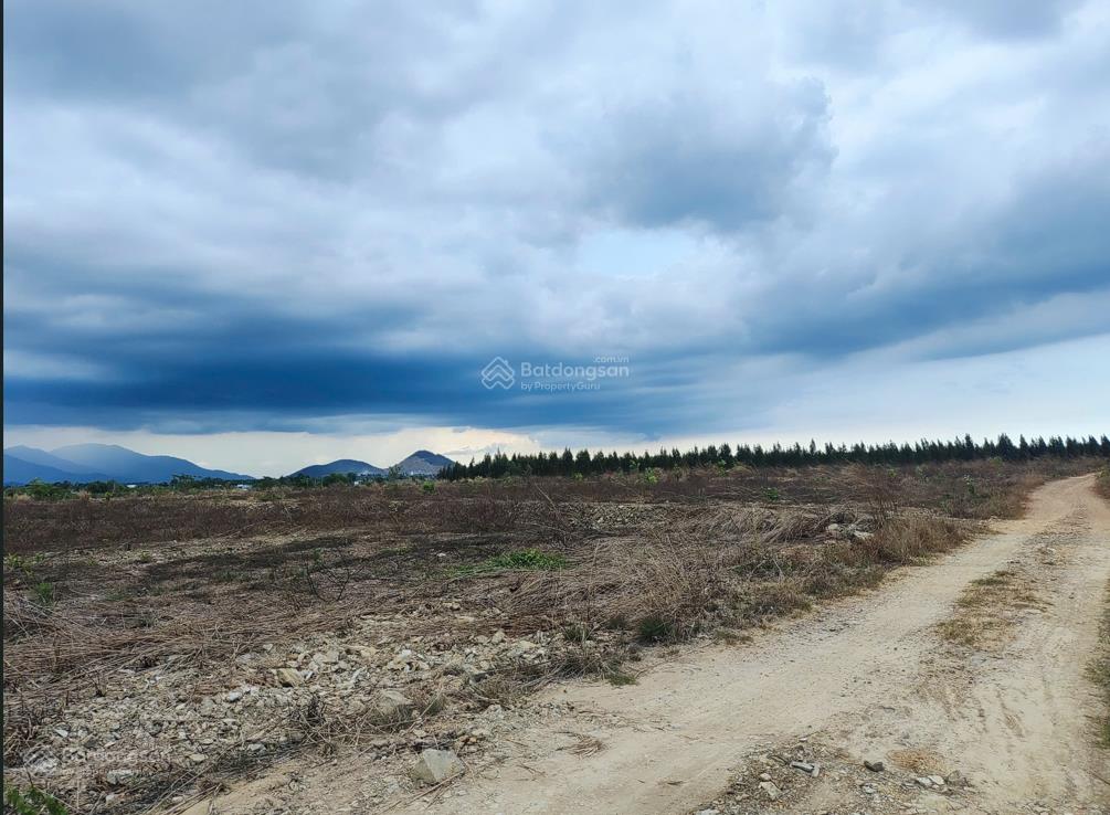 Bán đất tại phú sung xã hàm cường, huyện hàm thuận nam, tỉnh bình thuận