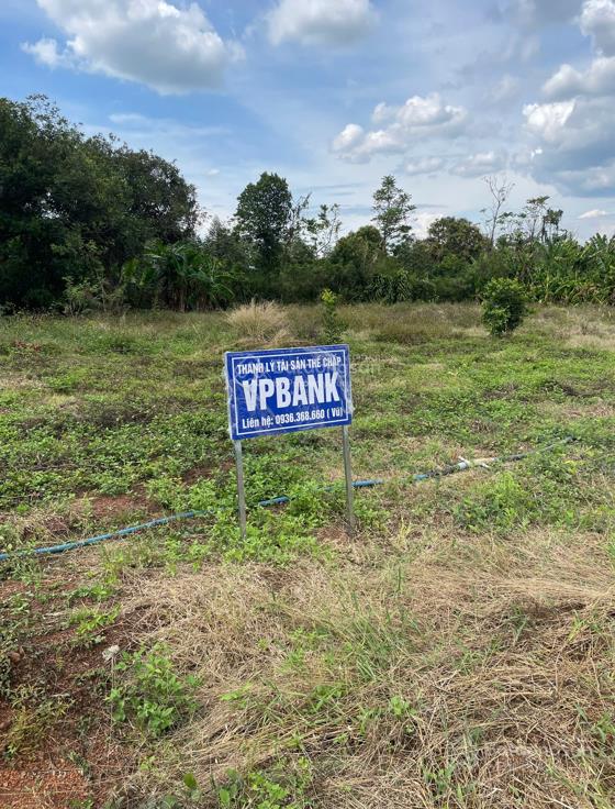 Bán đất trồng cây lâu năm tại đồng nai