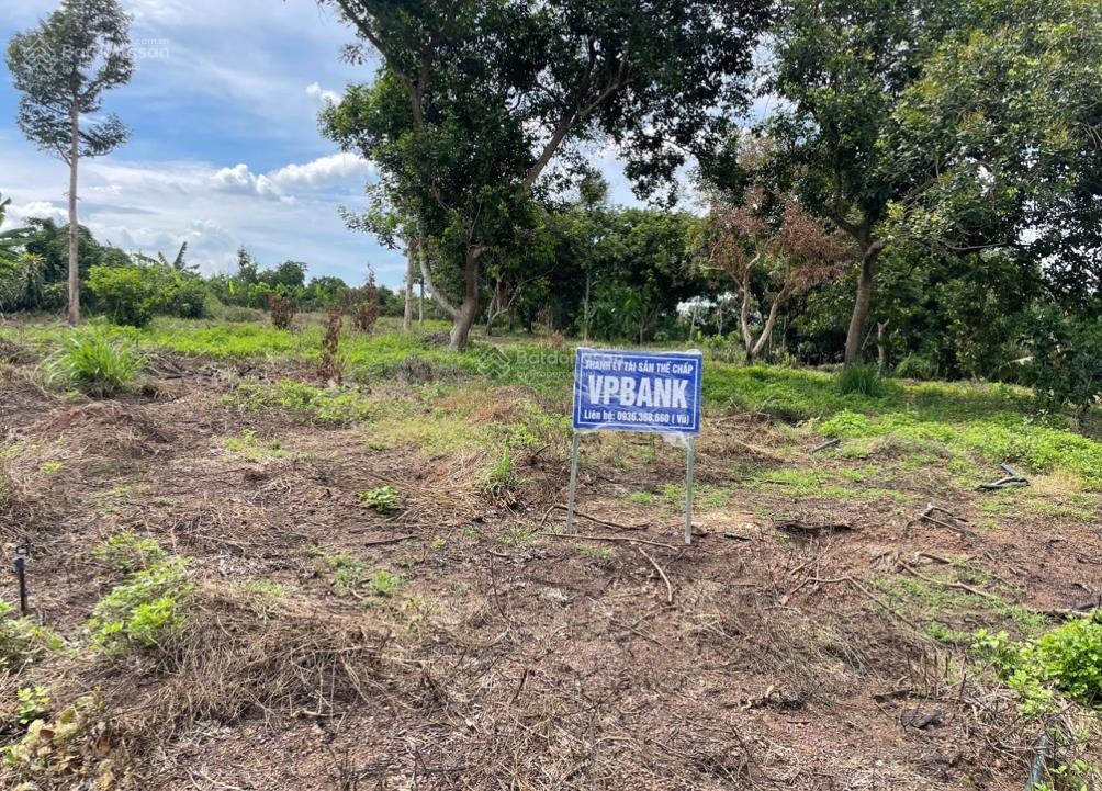 Bán đất trồng cây lâu năm tại đồng nai