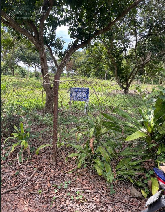 Bán đất trồng cây lâu năm tại đồng nai