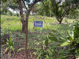Bán đất trồng cây lâu năm tại đồng nai