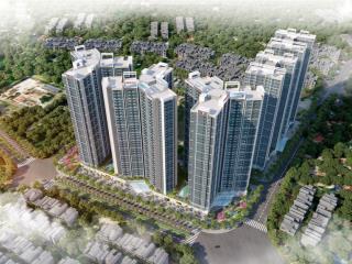 Bán ch 45m2 tại hoàng huy commerce, 1,55 tỷ, kênh dương, lê chân, hp