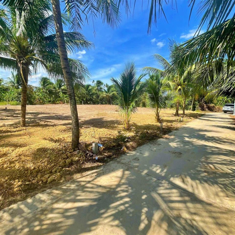 Bán nhanh sổ 108m2 chỉ 480 triệu cách trung tâm ninh hòa chỉ 2km đường ô tô mua để giành