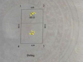 Đất đẹp, tập thể phân lô, ô tô ngủ trong đất, cổ nhuế 2  bắc từ liêm  hà nội