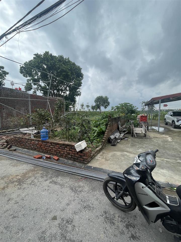 Bán đất lô góc siêu đẹp thái bình, mai lâm, đông anh