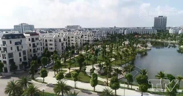 Bán căn biệt thự phong lan vinhomes thanh hóa giá tốt 0973 969 ***