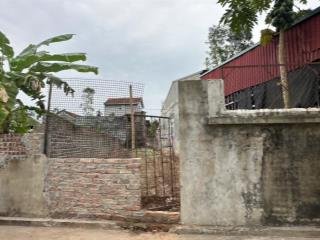 Chính chủ em cần thanh khoản 117m2 thạch đà, mê linh, hà nội