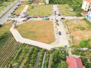 Bán đất đấu giá x2 thanh lâm  mê linh, đã có sổ, vị trí cực đẹp, gần vành đai 4, giá ưu đãi