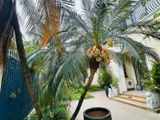 380m2  12m mặt tiền  bán biệt thự c7 ciputra view hồ  công viên  sân golf  vỉa hè ô tô tránh