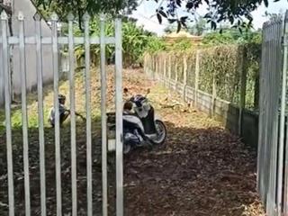 Thảo nhận đất chính chủ chưa qua dân đầu tư.(dt253m)giá 1ty8 ,phong thủy đất nở hậu.  0909 362 ***