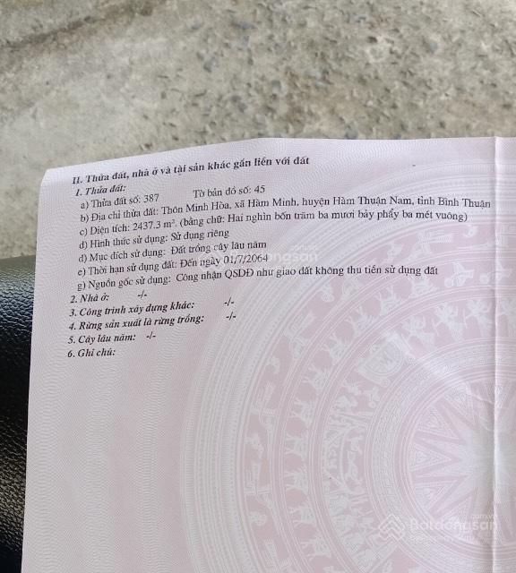 Bán đất tại hàm minh, hàm thuận nam, bình thuận, giá tốt 450 triệu, 2437 m2
