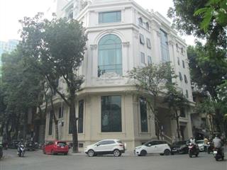 Bán nhà mặt phố tại lũy bán bích, tân thới hòa, tân phú, hcm, giá cực chất 46 tỷ, 616m2