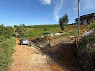 Chính chủ bán 1.200m2 giá 490 triệu