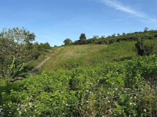 Chính chủ bán 1.200m2, giá 490 triệu