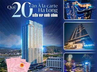 Bán gấp căn hộ 1pn 1wc view đẹp tại a la carte hạ long bay, 3,6 tỷ, 45m2