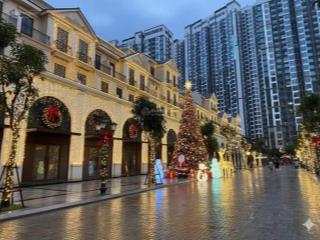 Cần bán shop tmdv hải âu oceanpark 1 dtsd 300m2, vừa ở vừa kinh doanh rẻ hơn căn 3n  0981 184 ***