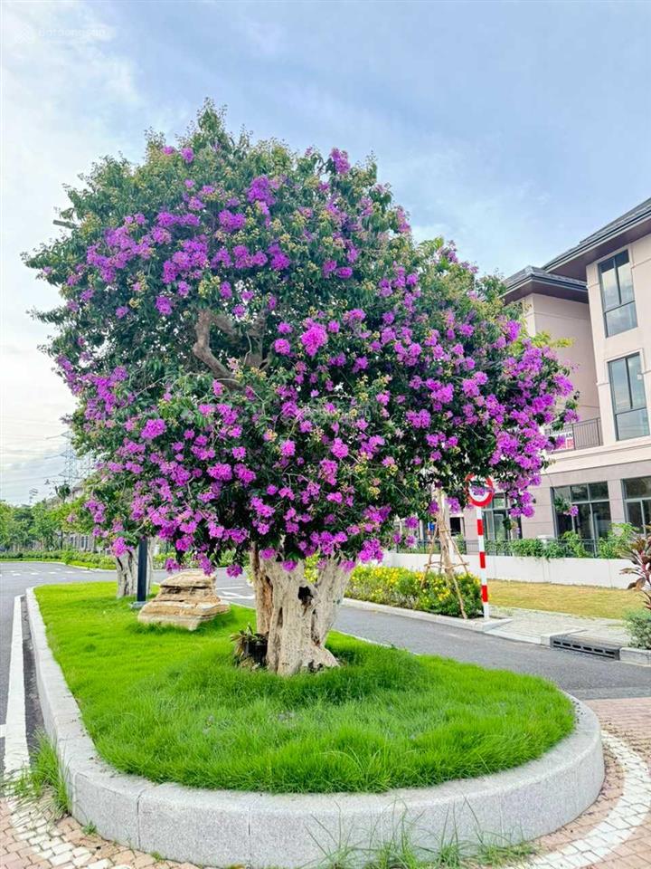 Bán 17tỷ cần bán nhà phố khu đô thị zeitgeist hàn quốc gs metrocity. 0915 346 *** mr khởi