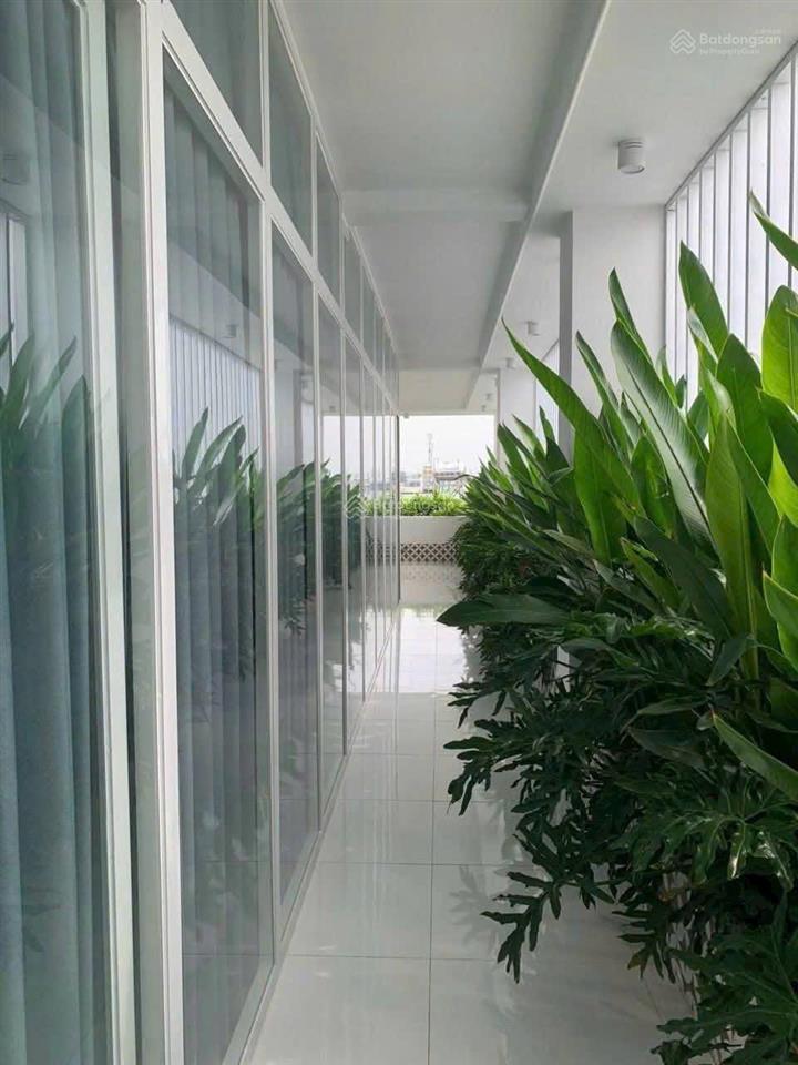 Chdv 32p, doanh thu 160tr, 8x29mx5 tầng nguyễn văn lượng p16 gò vấp