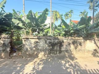 Nhỉ 2 tỷ sở hữu ngay một lô đất đẹp đường thông đất full thổ cư tại mê linh hà nội