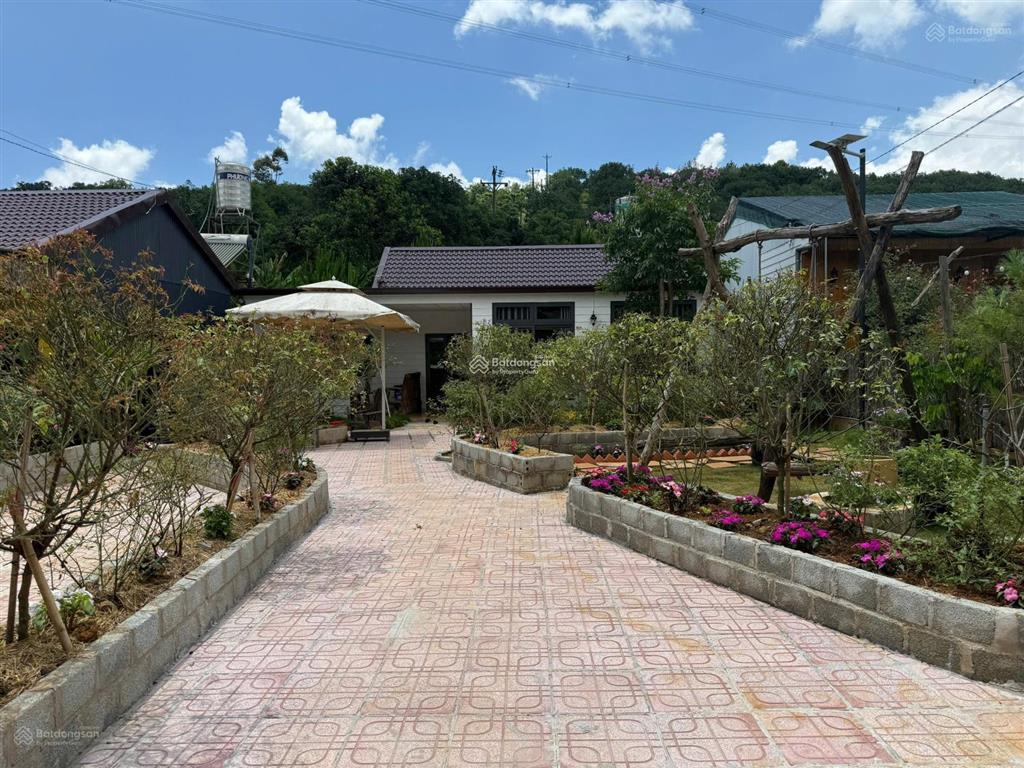 Chính chủ bán lỗ nhà đất nền tặng kèm căn biệt thự tại trung tâm bảo lộc, 505m2