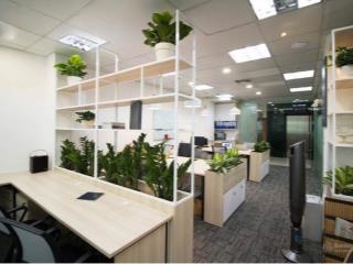 Cho thuê văn phòng phạm ngọc thạch q3. dt  100m2. 35 triệu/tháng
