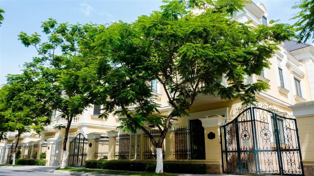 Biệt thự siêu rộng diện tích 481m2 giá hơn 30 tỷ bàn giao luôn, cao 3 tầng rưỡi có hầm, kdt xanh