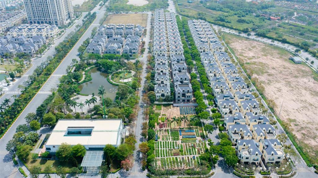 Biệt thự siêu rộng diện tích 481m2 giá hơn 30 tỷ bàn giao luôn, cao 3 tầng rưỡi có hầm, kdt xanh