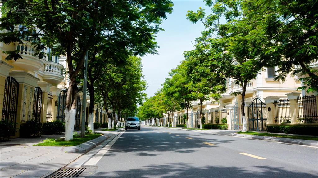 Biệt thự siêu rộng diện tích 481m2 giá hơn 30 tỷ bàn giao luôn, cao 3 tầng rưỡi có hầm, kdt xanh