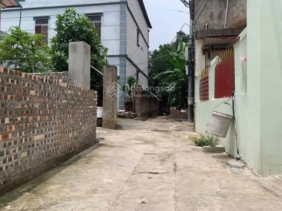 275m võng la  quy hoạch sát đường đại lộ ven sông