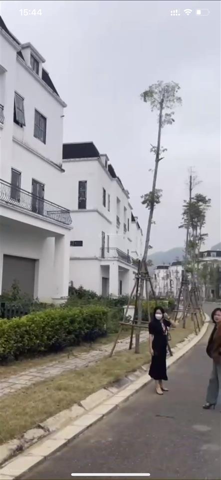 Cần bán nhanh căn biệt thự xanh villas tiến xuân, thạch thất chỉ 19 tỷ