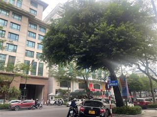 (hiếm) bán nhà kinh doanh mặt phố nguyễn khắc cần  trung tâm hoàn kiếm, 50m2 x 3 tầng, 40 tỷ