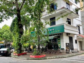 Bán nhà phố đặng xuân bảng  kinh doanh đa ngành  vỉa hè rộng  mặt tiền lớn