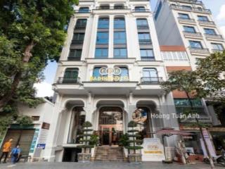 Hàng hiếm! bán tòa chdv mt cao thị chính, q7 dt 8x24m h + 8 tầng, hđt 300tr/tháng, gấp 50 tỷ