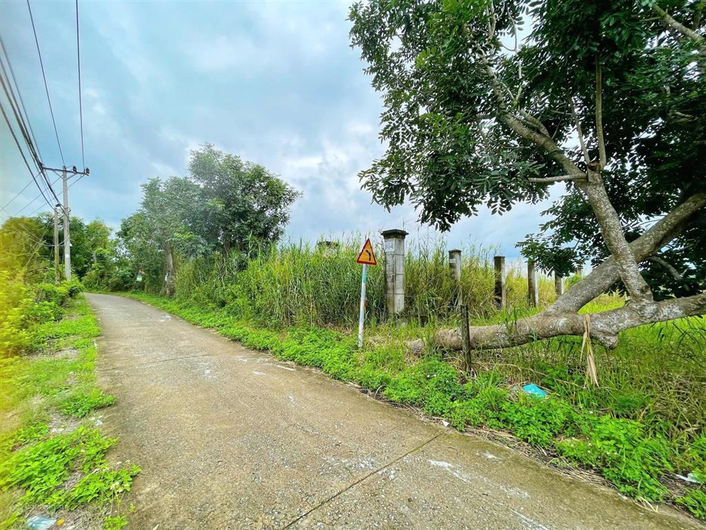 Bán đất 1049m2, có 300m2 đất ở, đường ngô quang thắm, giá 9.9 tỷ