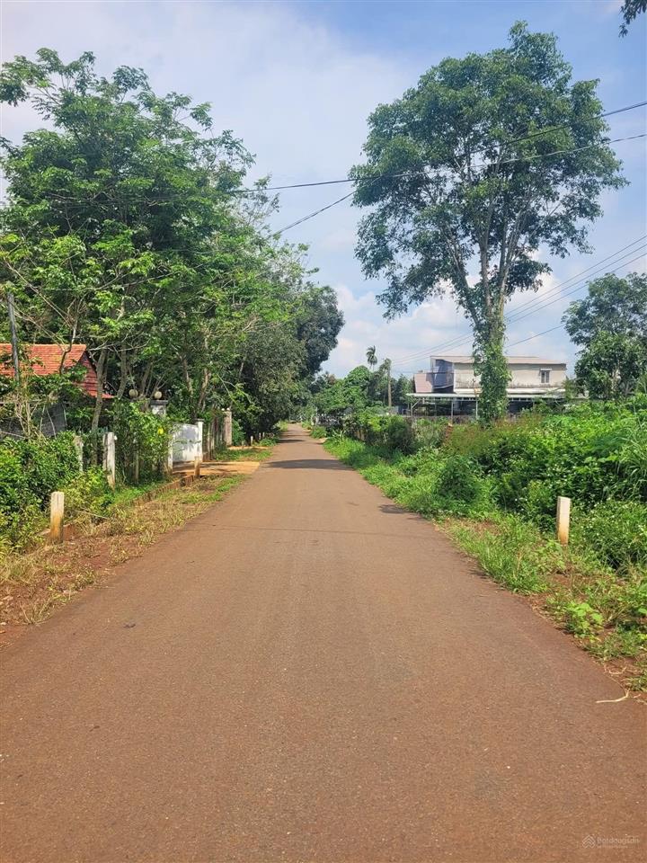 Cần bán sỉ hoặc lẻ 6 lô đất dt 500m2  1110m2 gần dự án lan anh 10. tại xã đá bạc châu đức brvt