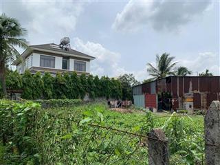 Bán gấp lô đất góc 2 mặt tiền 250m² thổ cư 100% tại đông thạnh (xã cũ nhị bình), hóc môn giá tốt