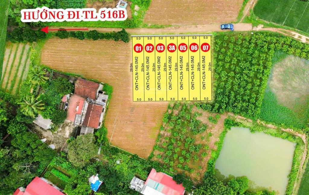 Kim tân thạch thành thanh hoá, 145m2 phân lô, ô tô, nhỉnh 200 triệu có thương lượng