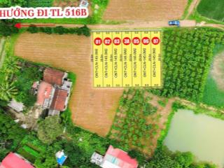 Kim tân  thạch thành  thanh hoá, 145m2 phân lô, ô tô, nhỉnh 200 triệu có thương lượng