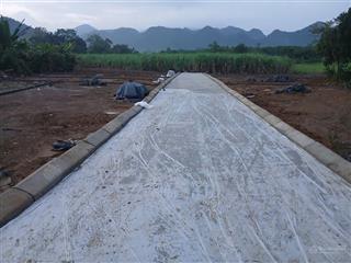 Chính chủ bán lô đất tại thạch thành  thanh hoá, 212m2, mặt tiền 6m, 270 triệu có thương lượng