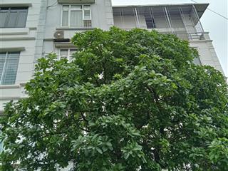 Nhà đẹp phân lô khu bác sỹ bv bạch mai tại phùng khoang  phân lô  ô tô  kd. dt 50m2, mt 3.8m