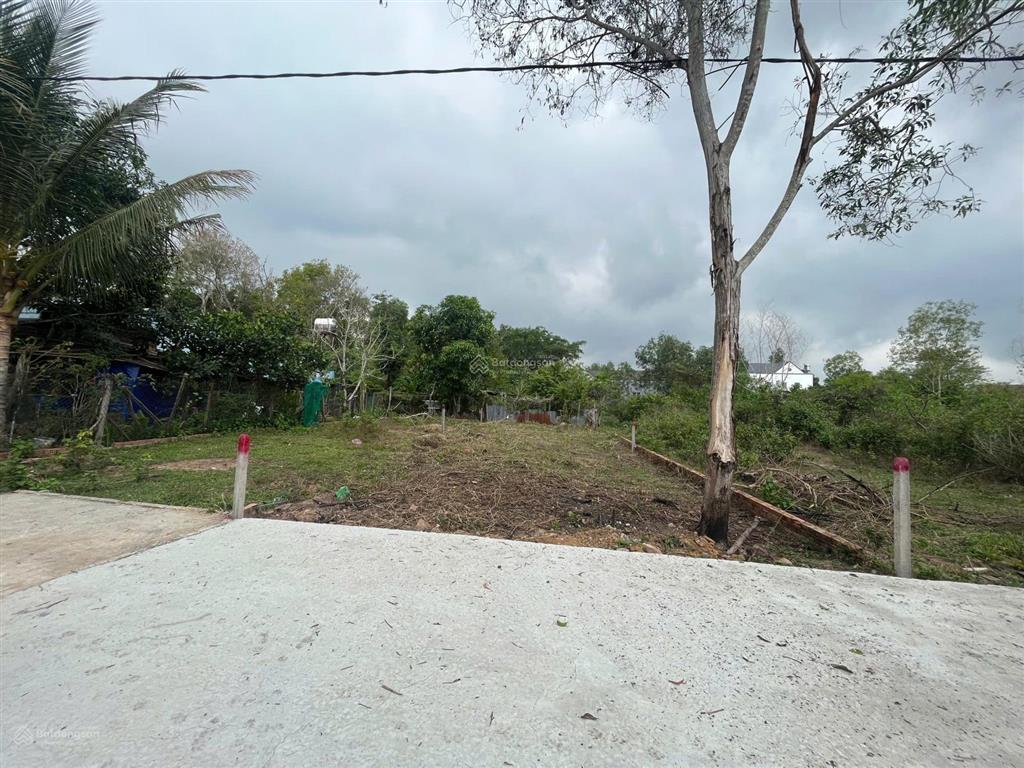 Bán 146m2 hẻm đường cây thông trong, mặt tiền rộng 7m cực đẹp, sổ đỏ sẵn 36m2 đất ở, chỉ 1,6 tỷ
