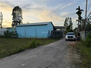 Bán lô đất ở 500m2 ngay đầu đường cây thông trong, sát trung tâm. đường lưu thông, thể hiện trên sổ