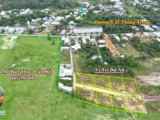 Bán lô góc 600m2 quy hoạch đất ở 100% ngay đầu đường cây thông trong. xây nhà vườn quá đẹp, giá tốt